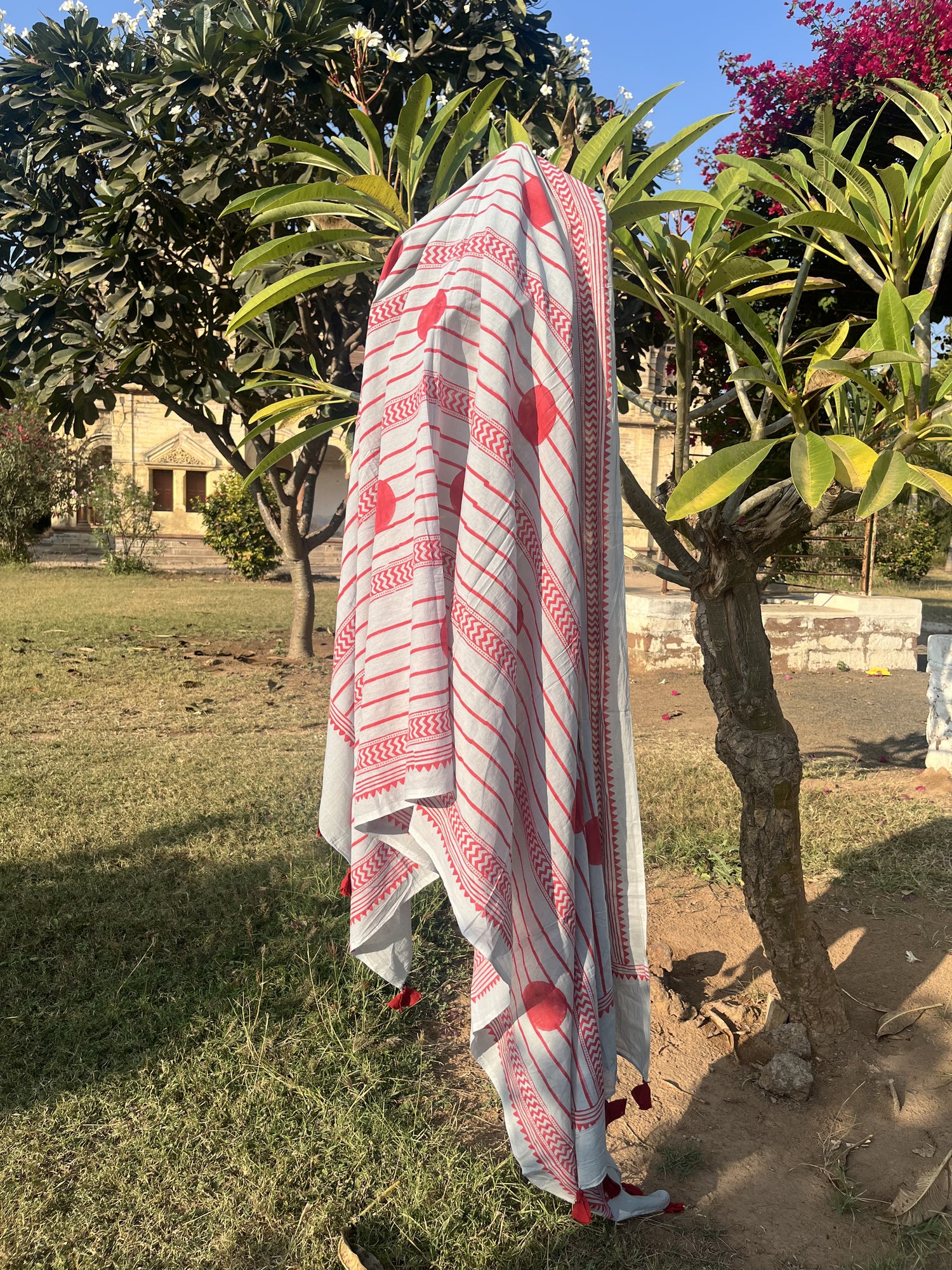 Authentic Ajrakh Hand Block Print Cotton Dupatta | Natural Dyes